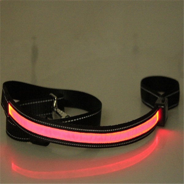 Fluorescent dog collar