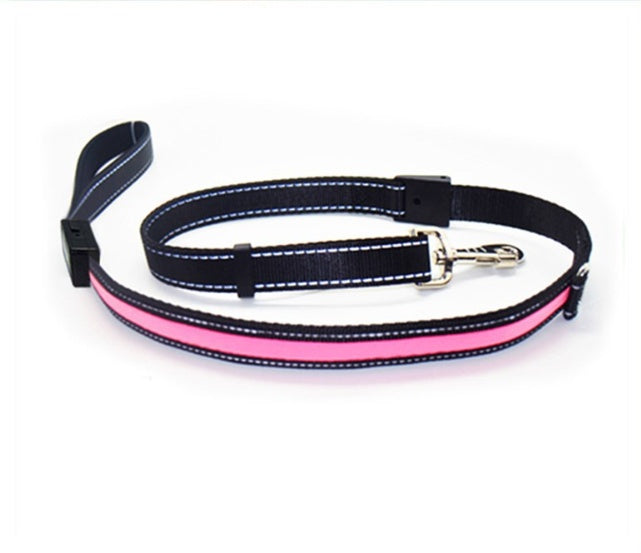 Fluorescent dog collar